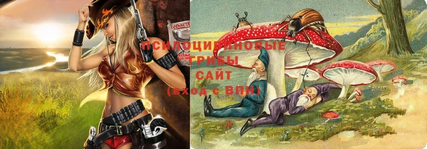 трава Долгопрудный