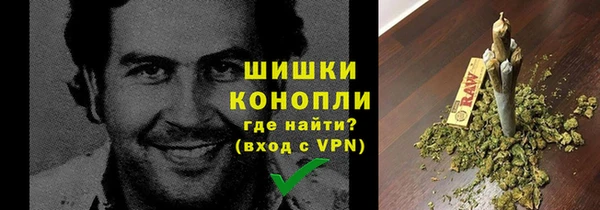 трава Долгопрудный