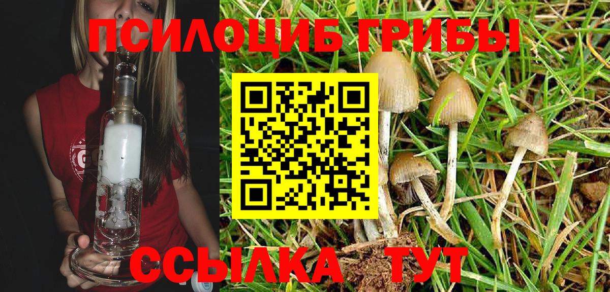 Галлюциногенные грибы GOLDEN TEACHER  даркнет сайт  Благодарный 